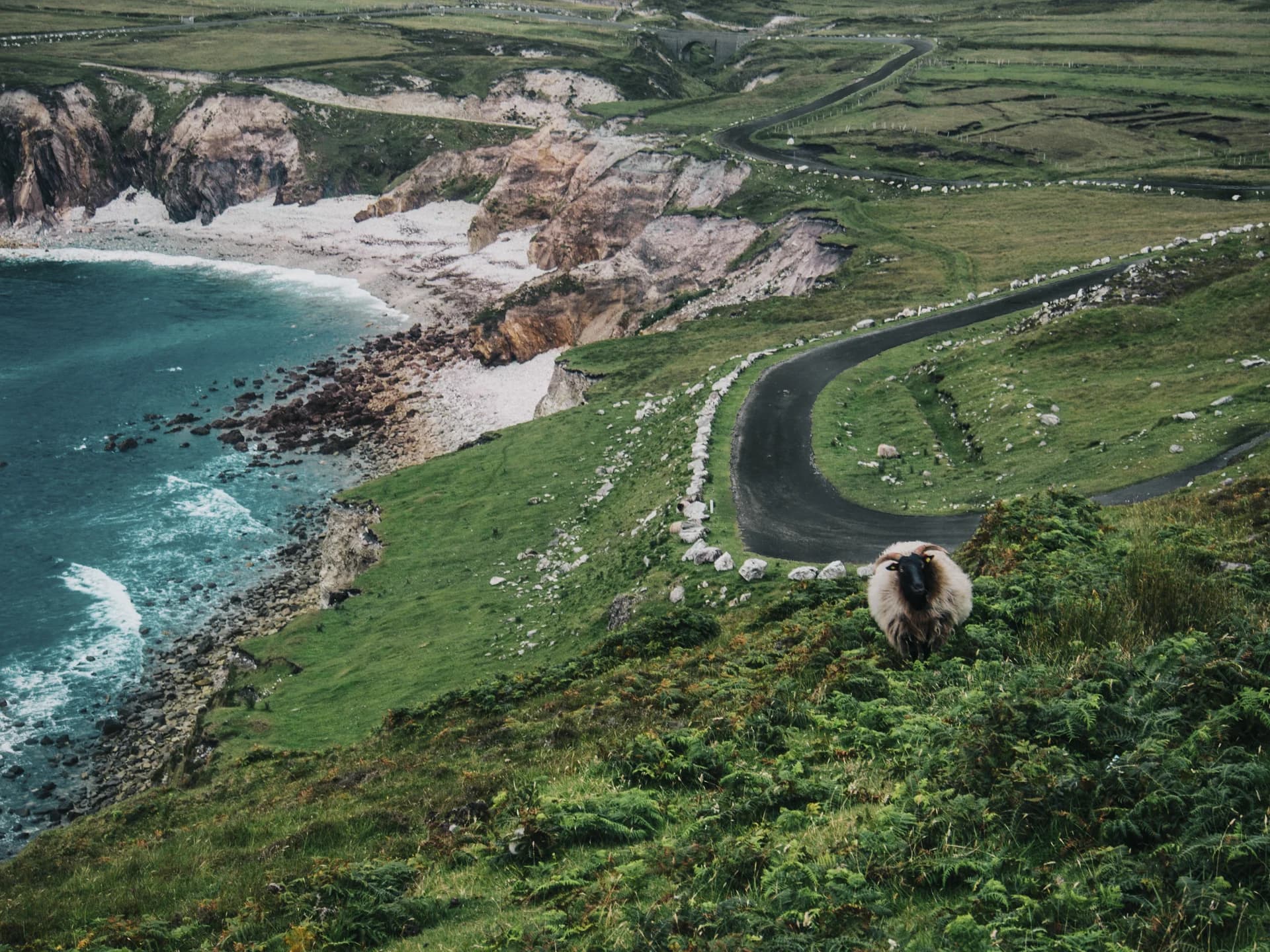 Wild Atlantic coastline in Ireland